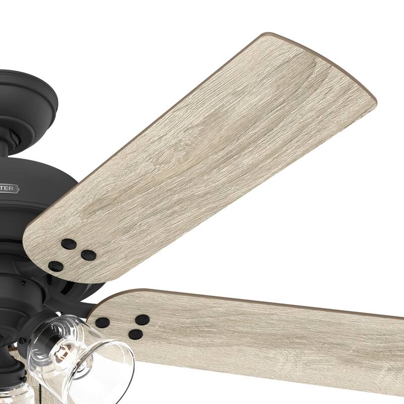 Hunter 52" Shady Grove Ceiling Fan with LED Light Kit/ Pull Chain, Standard or Flush Mount - Casual, Transitional