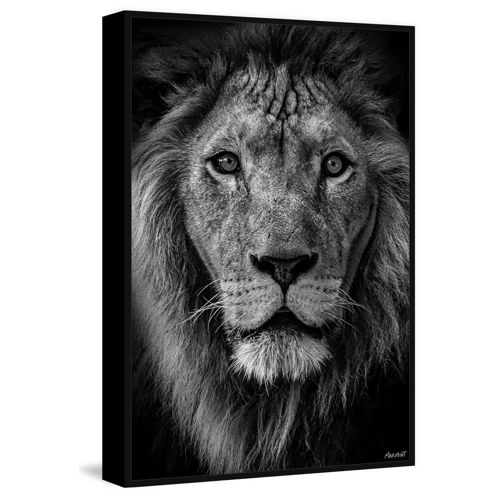 Enjoy the Silence Floater Framed Print on Canvas