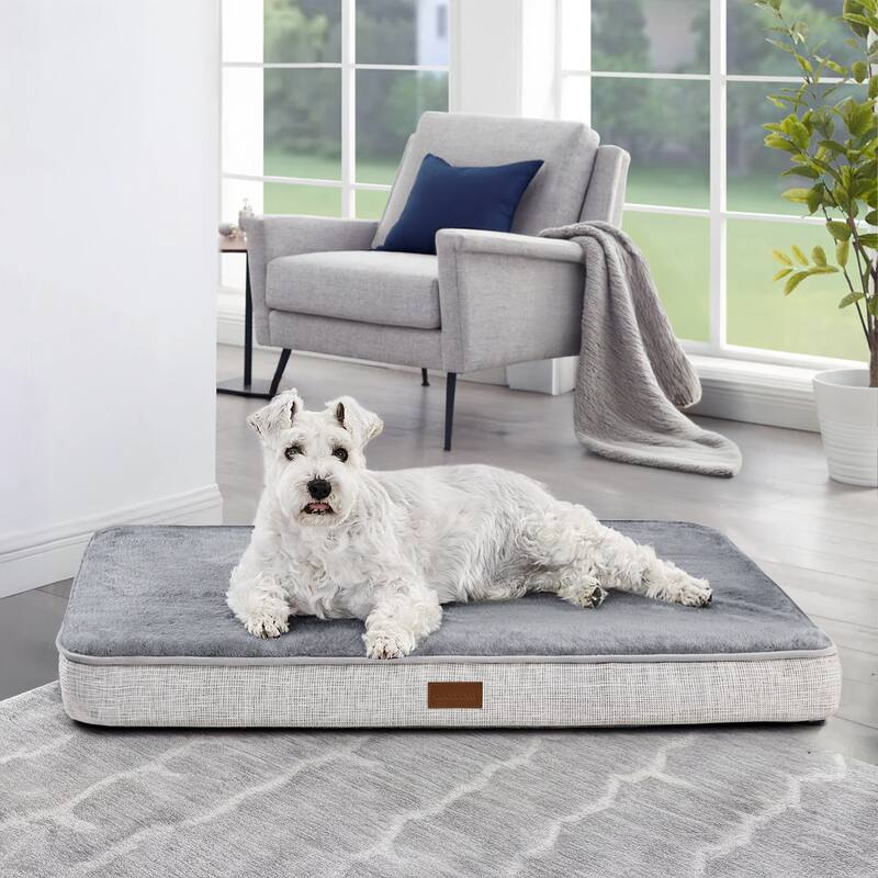 Orthopedic Dog Bed with Washable Cover - 30x20x3 - Light Grey/Light Grey