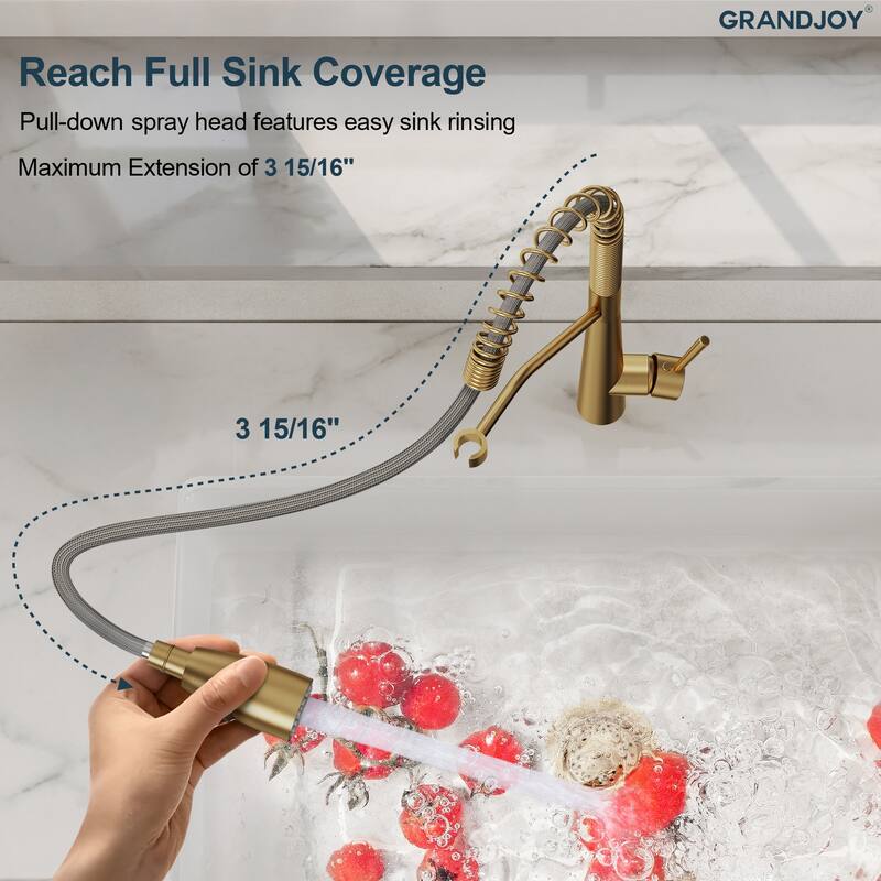 GRANDJOY Single Handle Pull Down Kitchen Faucet with Spot Resistant Finish