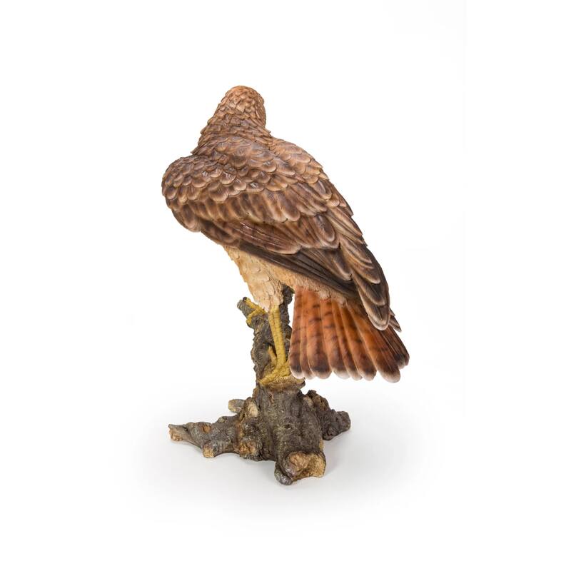 Wild Hawk on Branch Outdoor Garden Statue - 17.5" - Brown