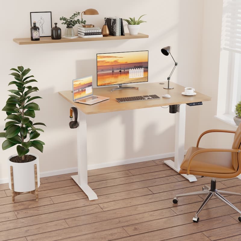 Futzca Electric Height Adjustable Standing Desk