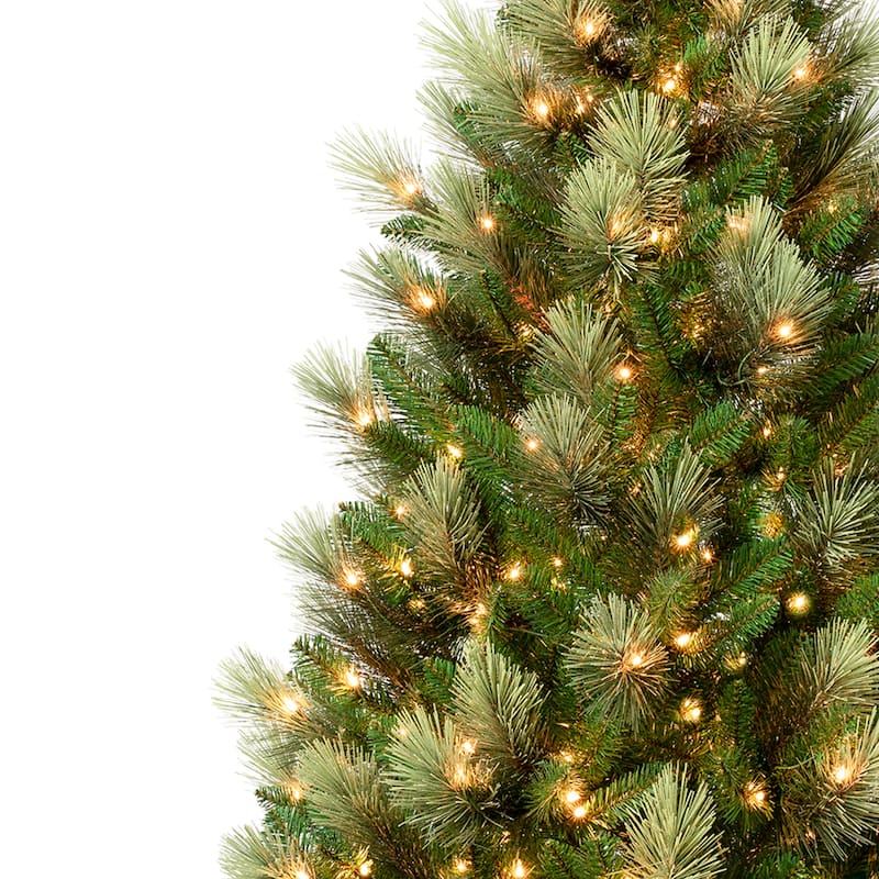 National Tree Company 9 ft. Charleston Pine Hinged Tree with 600 Clear Lights - 9 Foot