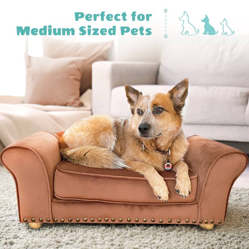 Critter Sitters 34-in. Faux Velvet Pet Bed Sofa for Medium-Sized Dogs and Cats in Brown