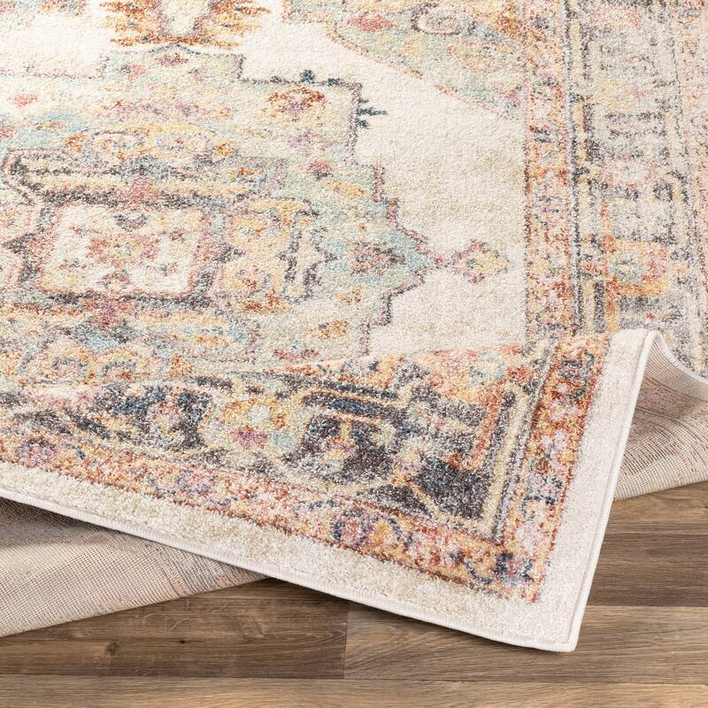 Hari Vintage Persian Area Rug