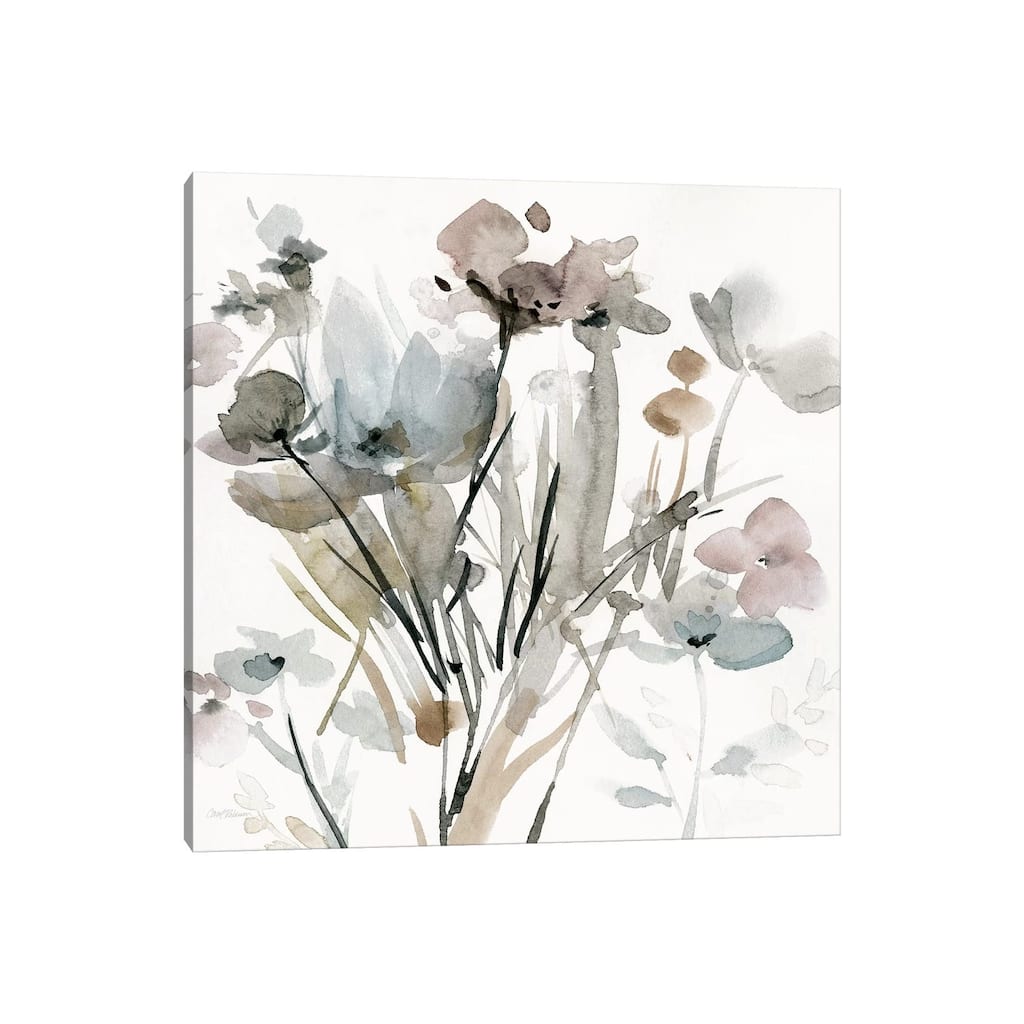 iCanvas "Dainty Blooms I" by Carol Robinson Canvas Print