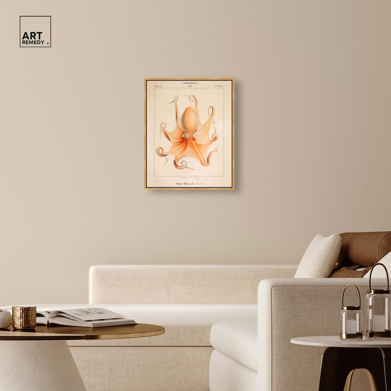 Verany The Octopus 1815 II Canvas by Art Remedy
