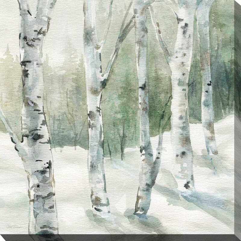 "Winter Wonderland I" by Carol Robinson Print on Canvas