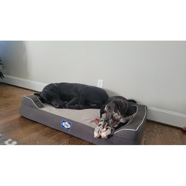 sealy dog bed extra large
