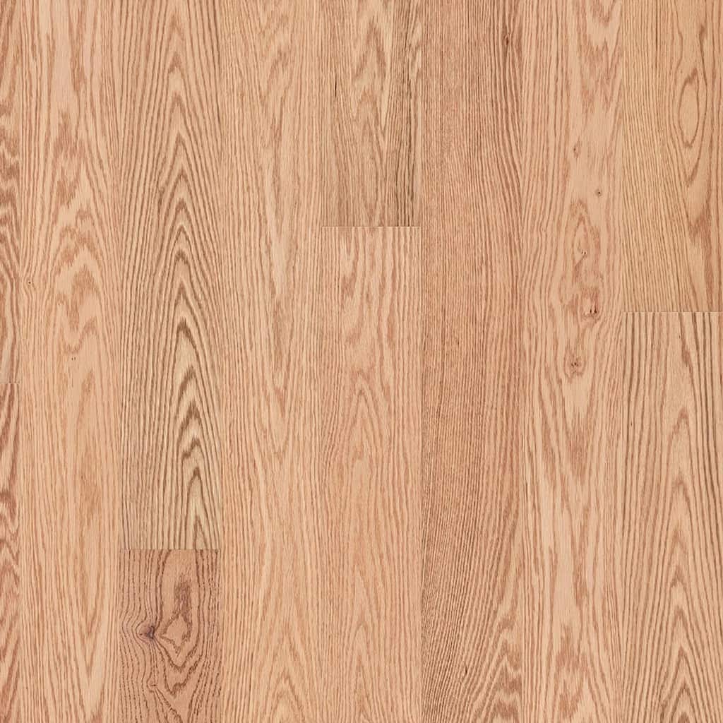 Shaw SW784 The Gallery 5" Wide Smooth Engineered Red Oak Hardwood