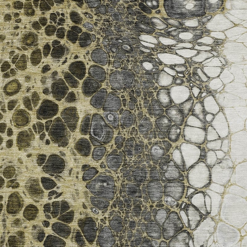 HomeRoots Abstract Transitional Rectangle Outdoor Rug