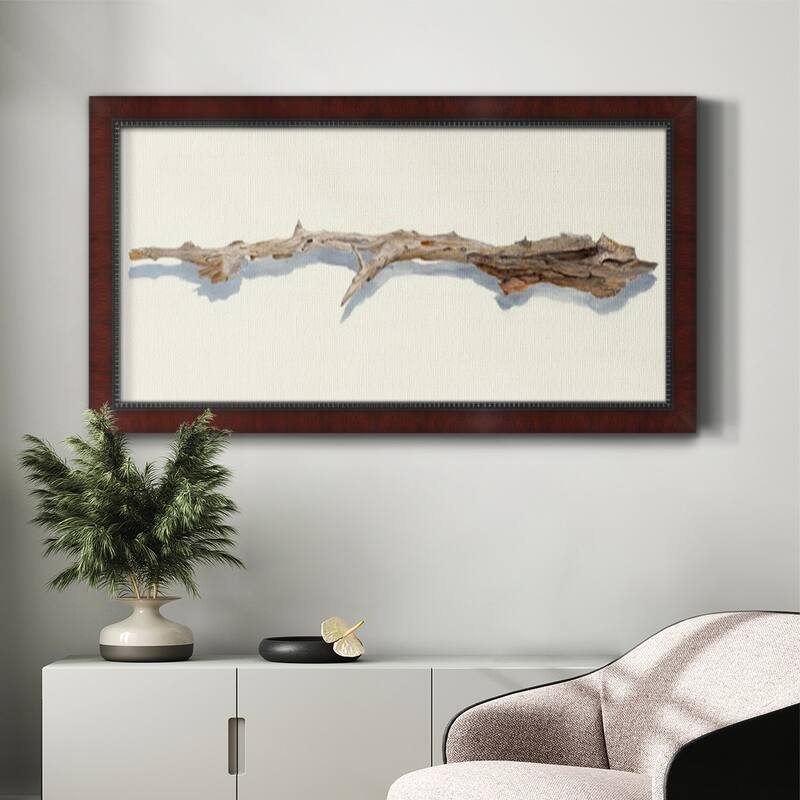 Driftwood Study I Premium Framed Canvas- Ready to Hang