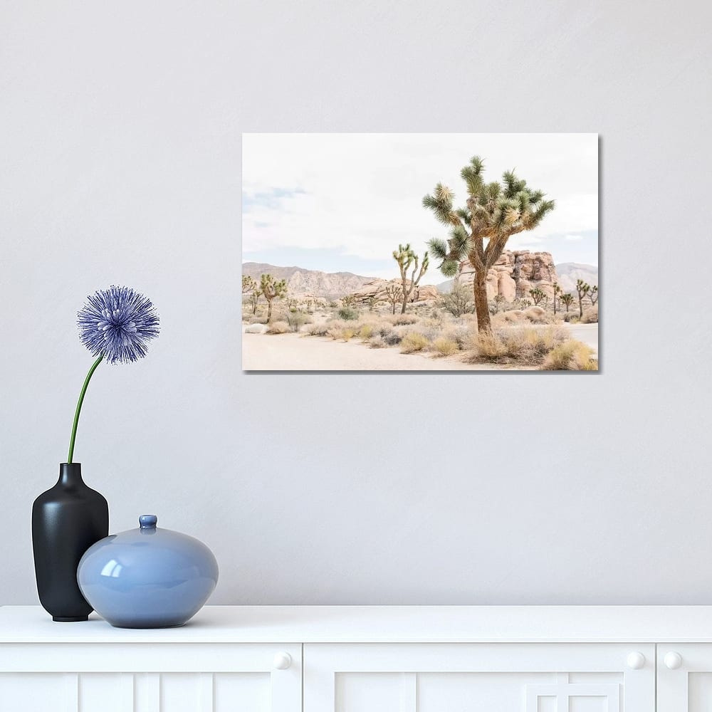 iCanvas "Joshua Tree, Mohave Desert" by lovelylittlehomeco Canvas Print