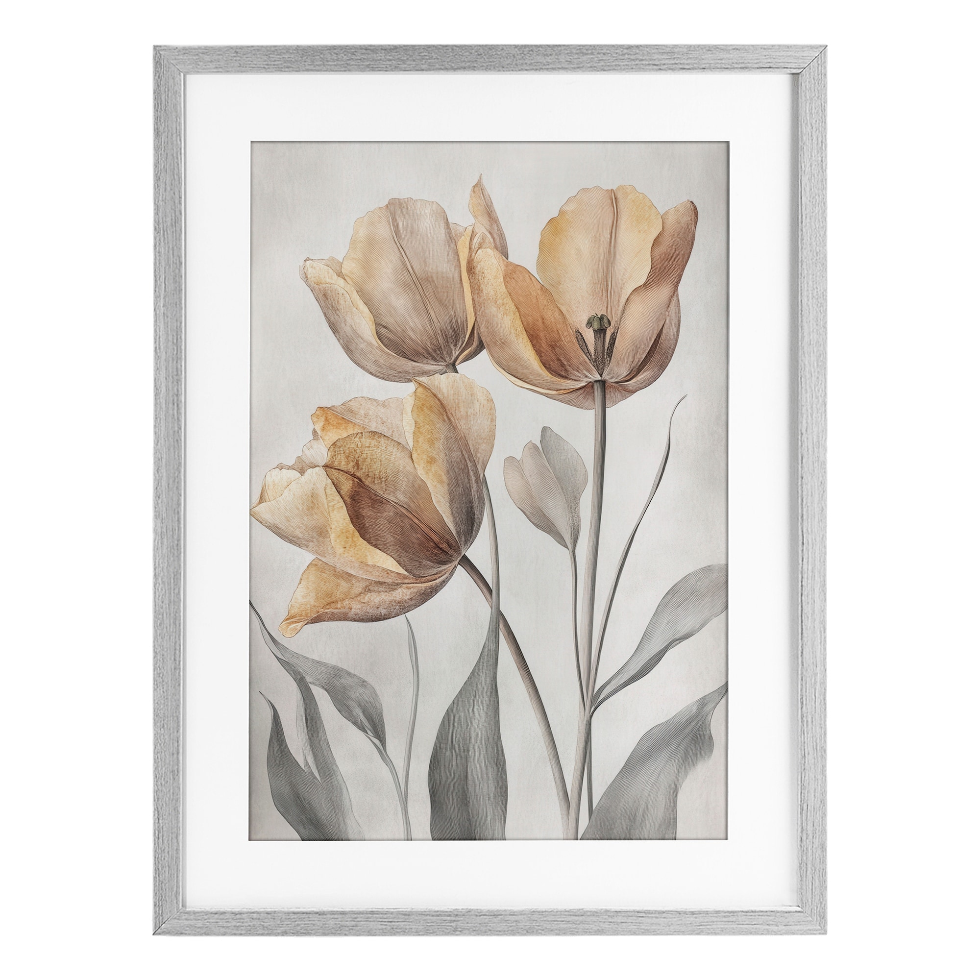 Stupell Pressed Poppies Orange Florals Under Glass Framed Design By Petal Prints Design