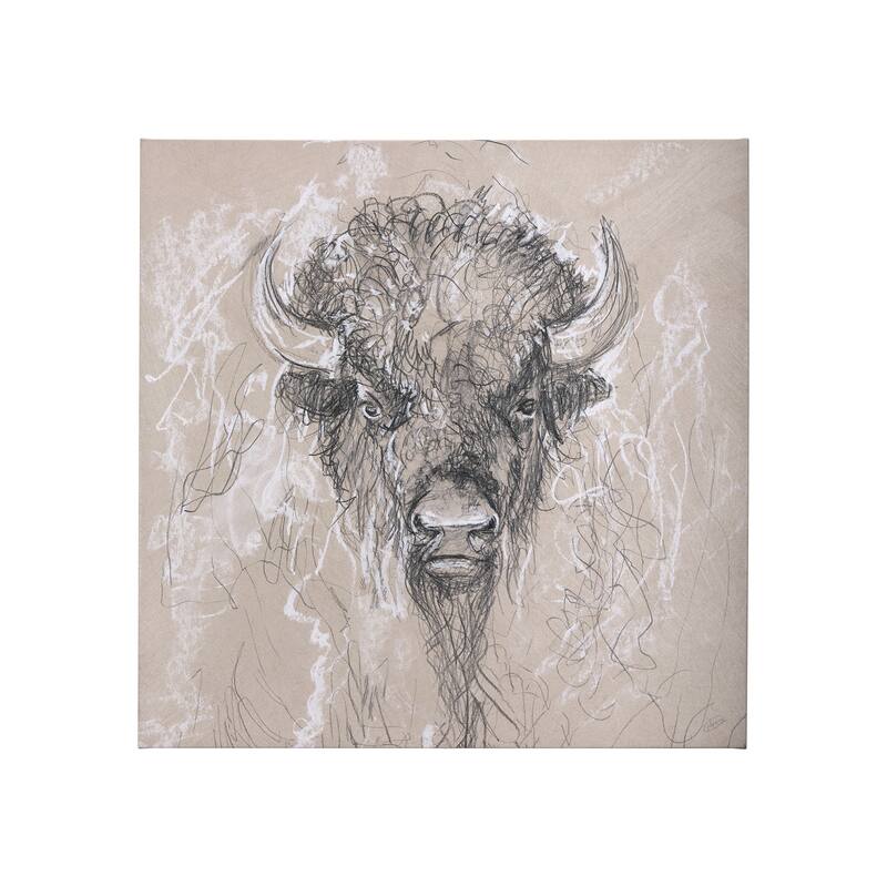Sketch of Animal IX (Bison) (30 x 30) Canvas Art Print - Small