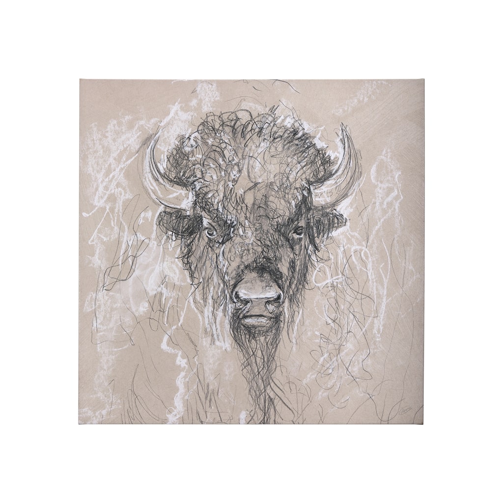 Sketch of Animal IX (Bison) (30 x 30) Canvas Art Print