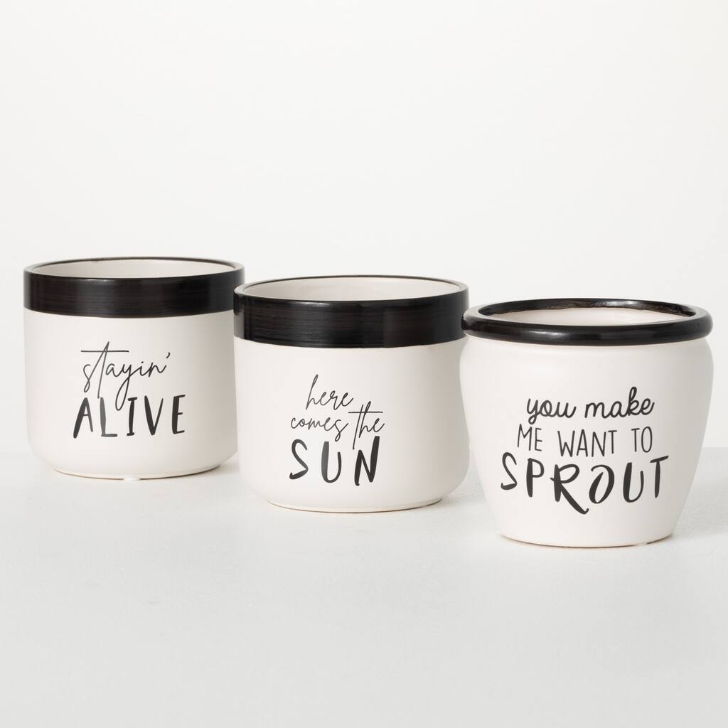 Sullivans Typography Planter Set of 3, 4.5"H White - 5.25"L x 5.25"W x 4.5"H