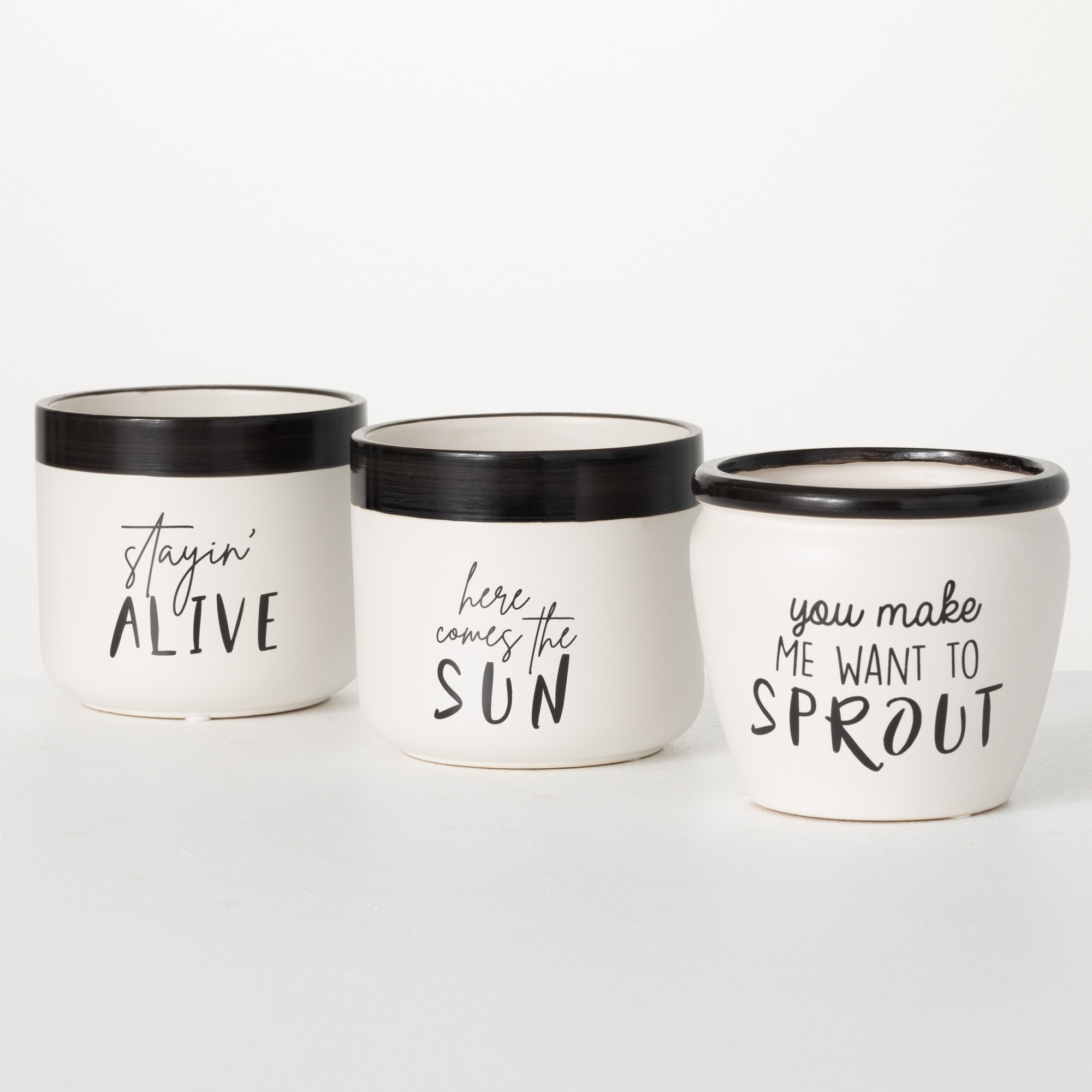 Sullivans Typography Planter Set of 3, 4.5"H White - 5.25"L x 5.25"W x 4.5"H