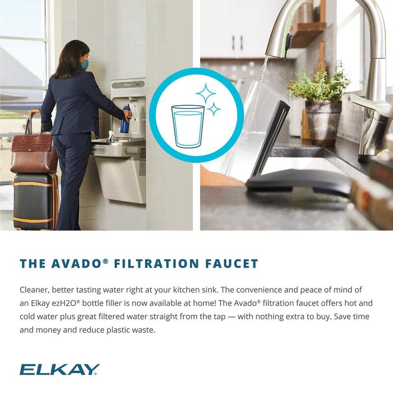 Elkay Avado Single Hole 2-in-1 Kitchen Faucet with Filtered Drinking Water