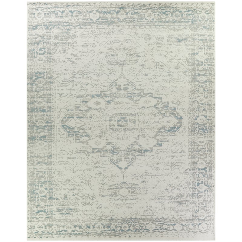 Nafisa Distressed Medallion Area Rug