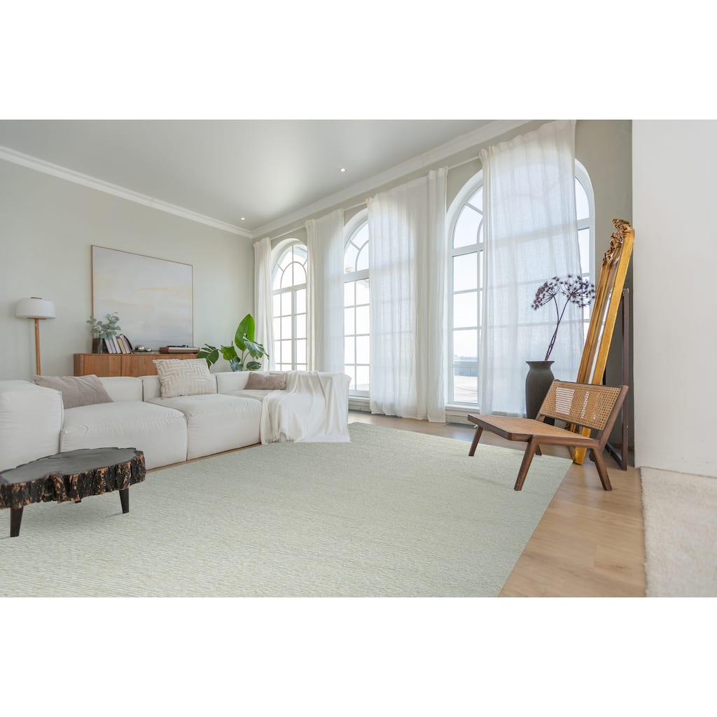 Hand-Knotted Wool Plush Flatweave Loom Rug | Elegant Ivory Area Rug for Living Room, Bedroom, Office, & Home Décor
