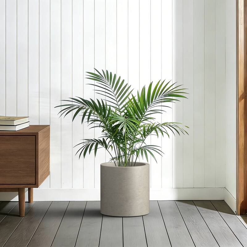 Concrete Tall Round Pot Cylindrical Flower Planter with Drainage Hole