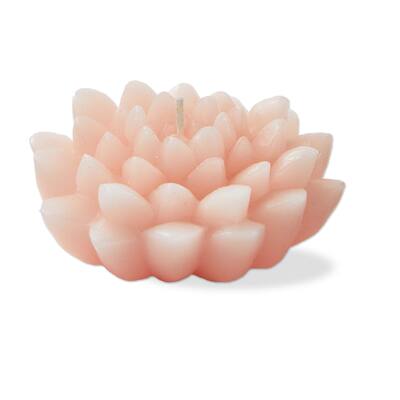 Blossom Flower Shaped Novelty Paraffin Wax Candle Coral Burn Time 2.5 hours