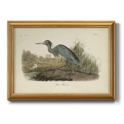 Audubons Blue Heron Premium Framed Canvas- Ready to Hang
