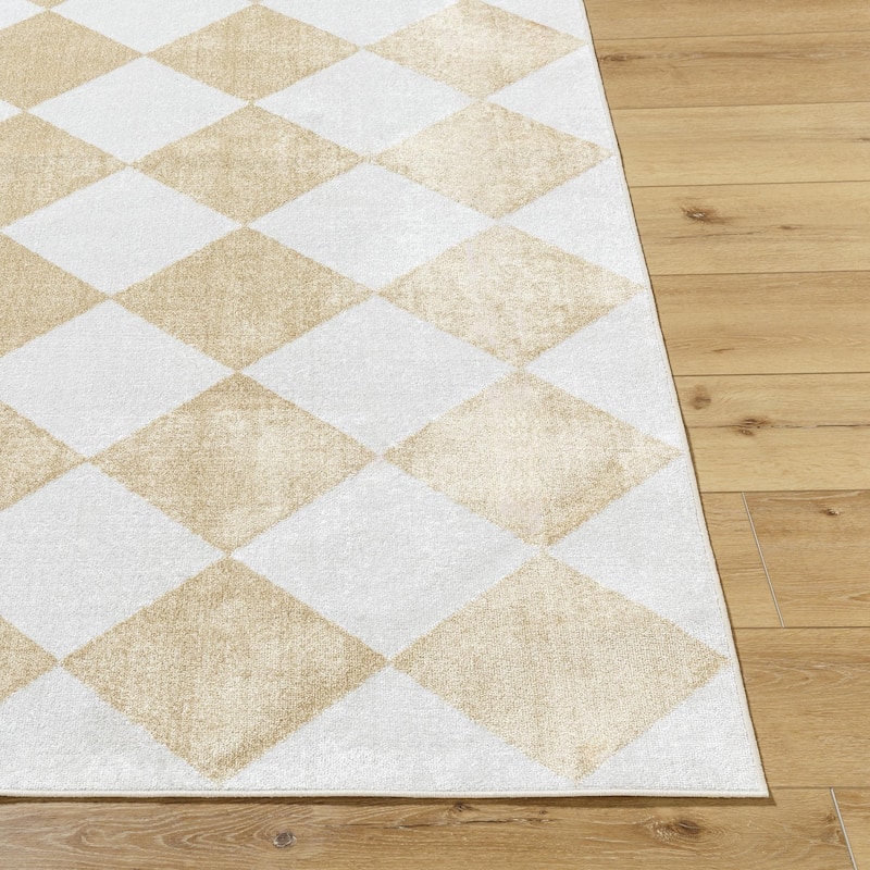 Livabliss Lillian Modern & Contemporary Checkered Indoor/Outdoor Area Rug