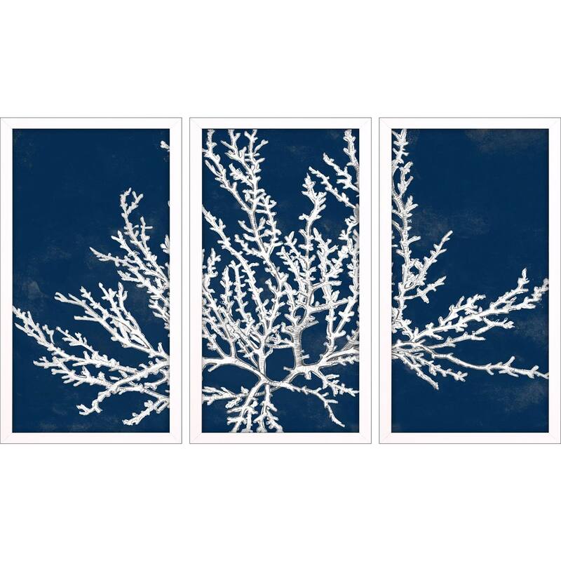 Coastal Coral S/3 Framed Art Under Glass