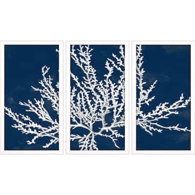 Coastal Coral S/3 Framed Art Under Glass