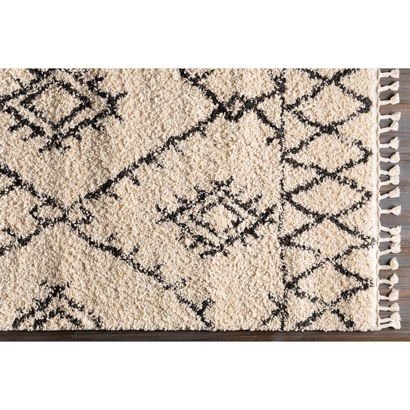 Artistic Weavers Terzo Bohemian Shag Area Rug