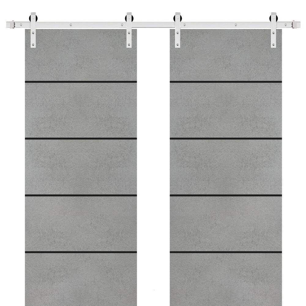 Sturdy Double Barn Door 36 x 80 with Planum 0015 Concrete with 13FT