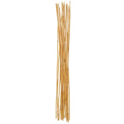 Bamboo Wood Tall Sticks Home Decor Natural Foliage - Light Brown - Roche River Decor