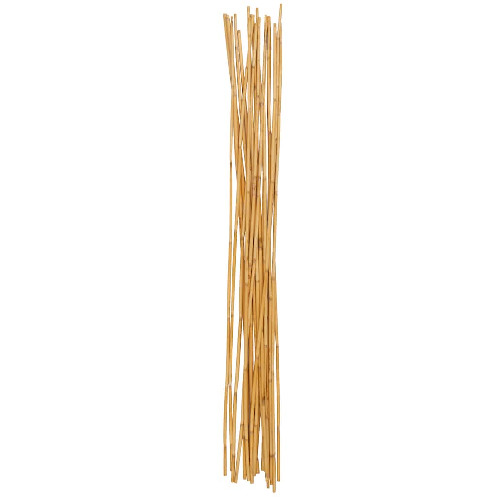 Bamboo Wood Tall Sticks Home Decor Natural Foliage - Light Brown - Roche River Decor