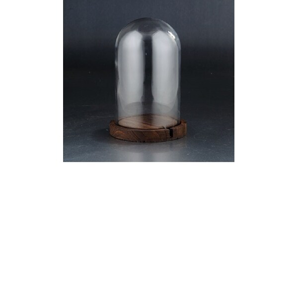 10" Clear and Brown Glass Dome with Base Tabletop Decor - N/A
