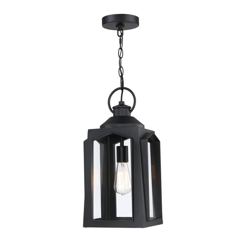 1-Light Matte Black Outdoor Pendant Light with Clear Glass Shade - Black