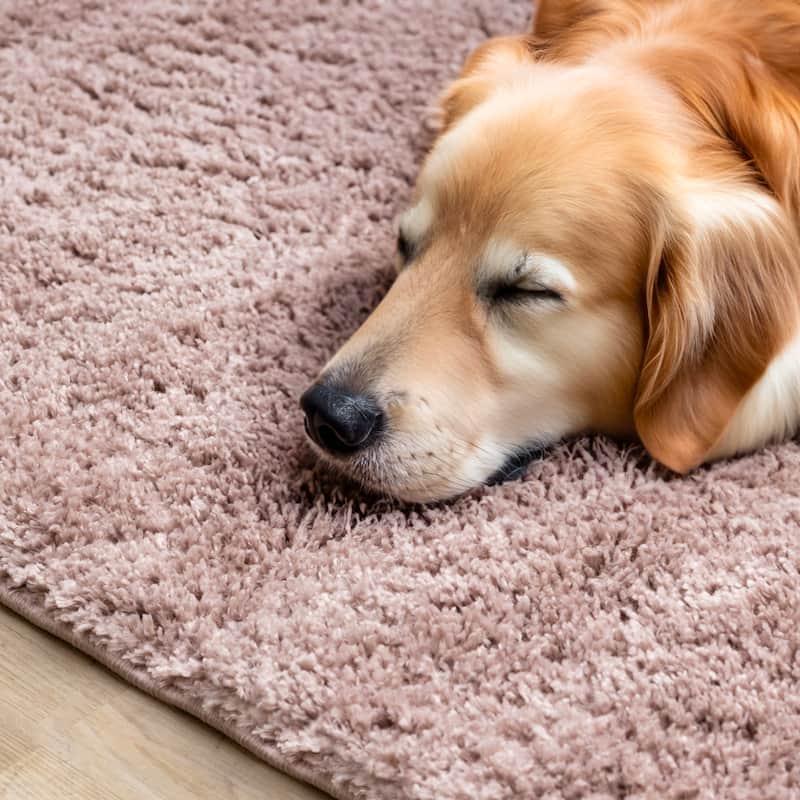 Taylor Collection - Plush Pink Shag Area Rug