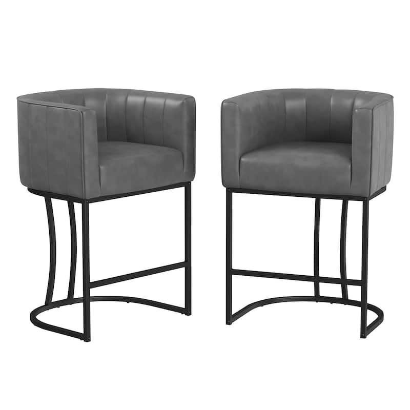 LUE BONA Modern 26.in Low Back Counter Height Barstools Upholstered/PU Leather Barrel Set of 2 Bar Stools with Metal Frame