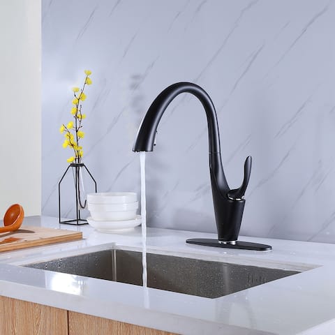 Single Handle Matte Black Kitchen Faucet,Single Level Stainless Steel Kitchen Sink Faucets