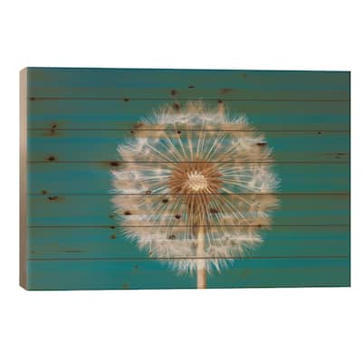 Dandelion Print On Wood by Bess Hamiti - Multi-Color