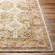 preview thumbnail 6 of 26, Terriey Traditional Area Rug