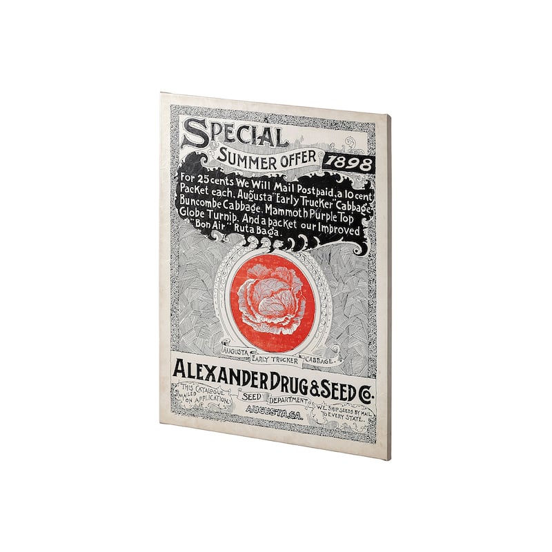 Antique Seed Packet XIIII (30 x 40) Canvas Art Print