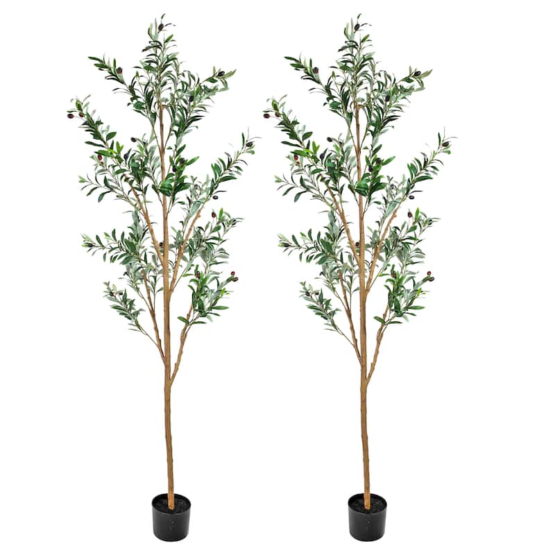 HomeRoots Set of Two 72" Green Artificial Olive Trees in a Black Pots - 25.00 in. x 72.00 in. x 25.00 in.