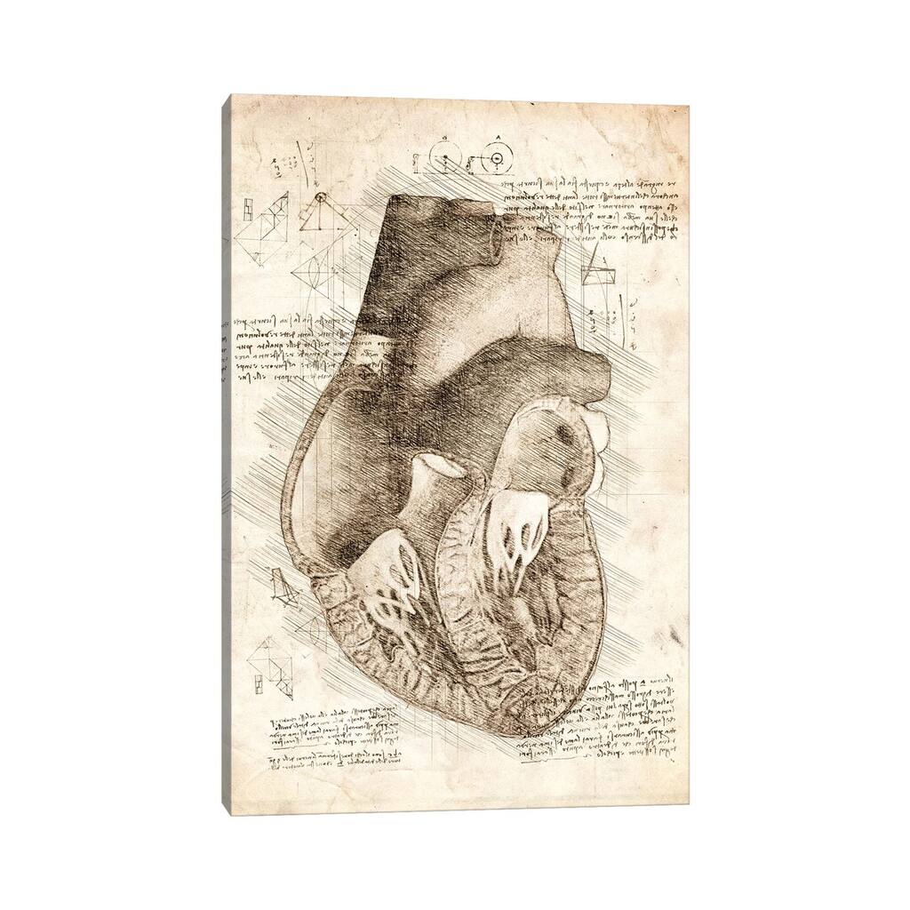 iCanvas "Human Heart Inside View" by Cornel Vlad Canvas Print