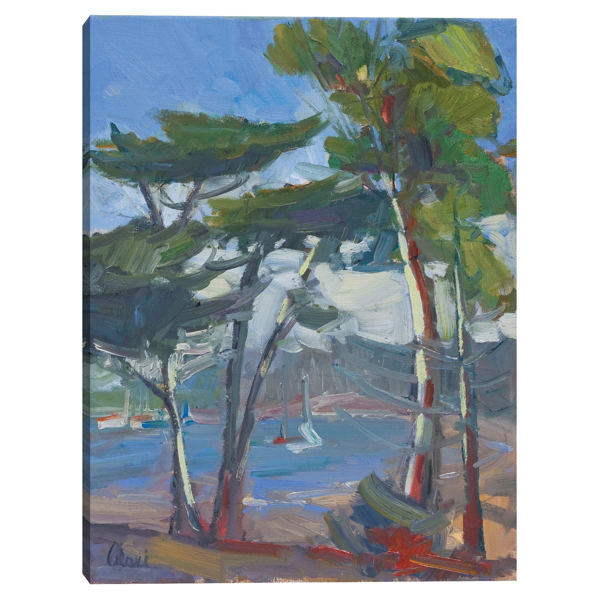 Tree View by Alexi Fine Canvas Art Print