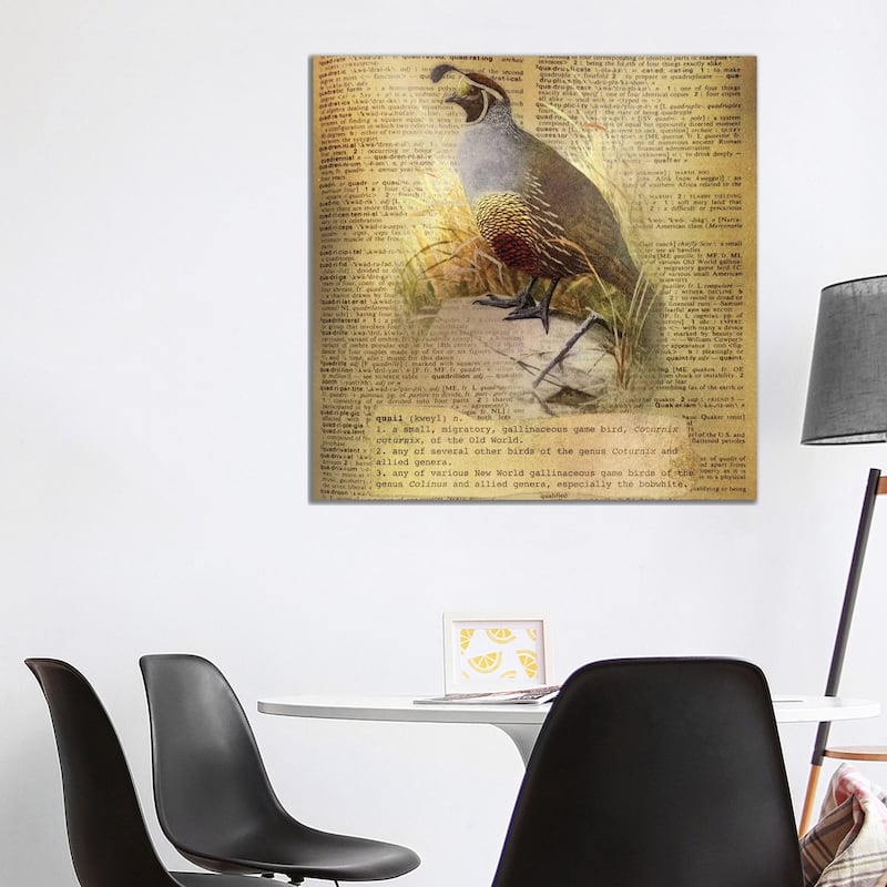iCanvas "Q - Quail Square" by 5by5collective Canvas Print - 37x37x1.5