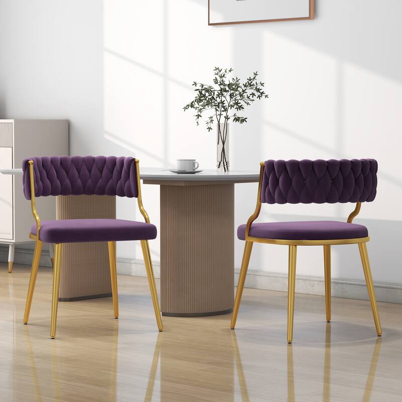 Modern Velvet Dining Chairs Set of 2