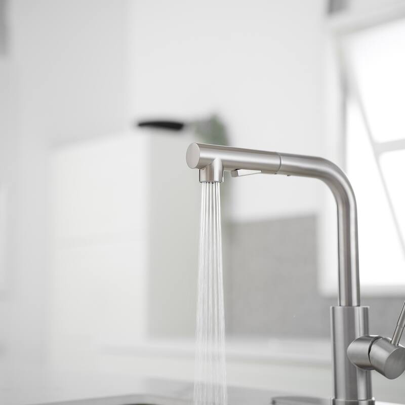 WIZ Pull Out Kitchen Faucet with Pull Down Sprayer