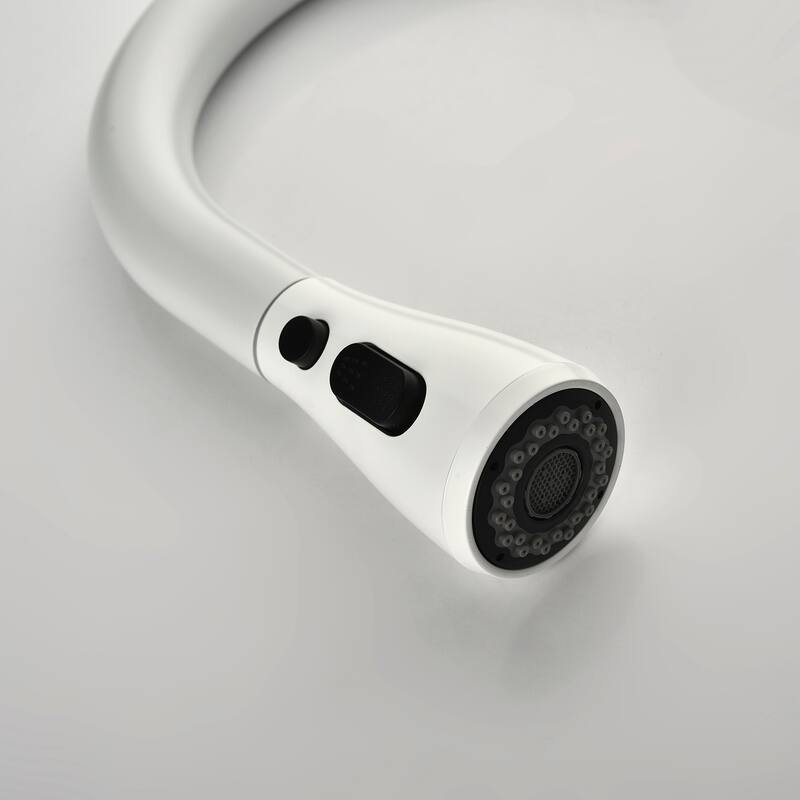 Kitchen Faucet with Pull down Spraye